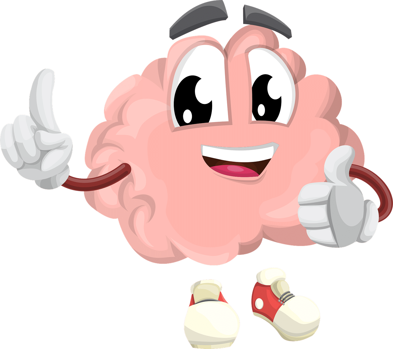 Neurosciences étude du cerveau